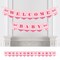 Big Dot of Happiness It's a Girl - Pink Baby Shower Bunting Banner - Party Decorations - Welcome Baby
